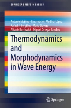 Thermodynamics and Morphodynamics in Wave Energy - Moñino, Antonio;Medina-López, Encarnación;Bergillos, Rafael J.