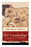 Der Unschuldige - Die Geschichte einer Wandlung: Verständnis des eigenen sexualemanzipatorischen Ansatzes und Homosexualität