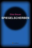 Spiegelscherben (eBook, ePUB)