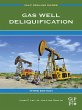 Gas Well Deliquification (eBook, ePUB) - Bild 1