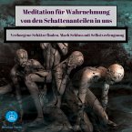 Meditation für Wahrnehmung von den Schattenanteilen in uns (MP3-Download)