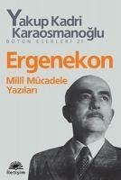 Ergenekon Milli Mücadele Yazilari - Kadri Karaosmanoglu, Yakup