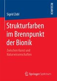 Strukturfarben im Brennpunkt der Bionik (eBook, PDF)