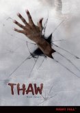 Thaw (eBook, ePUB) Thaw (eBook, ePUB)
