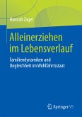 Alleinerziehen im Lebensverlauf (eBook, PDF)