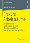 Prekäre Arbeitsräume (eBook, PDF)