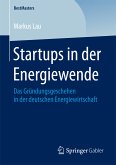 Startups in der Energiewende (eBook, PDF)
