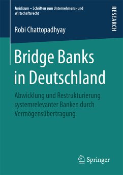 Bridge Banks in Deutschland (eBook, PDF) - Chattopadhyay, Robi