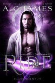 Ride: Bad Hangover (eBook, ePUB)