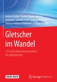Gletscher im Wandel (eBook, PDF)