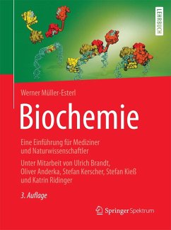 Biochemie (eBook, PDF) - Müller-Esterl, Werner