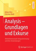 Analysis - Grundlagen und Exkurse (eBook, PDF)