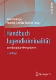 Handbuch Jugendkriminalität (eBook, PDF)