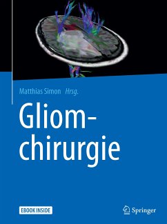 Gliomchirurgie (eBook, PDF)