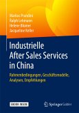Industrielle After Sales Services in China (eBook, PDF)