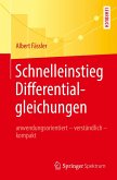 Schnelleinstieg Differentialgleichungen (eBook, PDF)