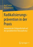 Radikalisierungsprävention in der Praxis (eBook, PDF)