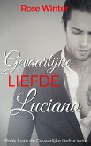 Gevaarlijke Liefde - Luciano (Gevaarlijke Liefde serie, #1) (eBook, ePUB)