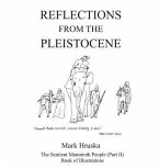 Reflections from the Pleistocene (eBook, ePUB)