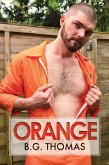 Orange (eBook, ePUB)