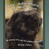 The Adventures of Miss Diva (eBook, ePUB)