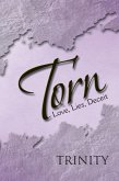 Torn (eBook, ePUB)