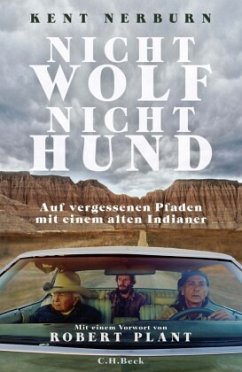 Nicht Wolf nicht Hund - Nerburn, Kent