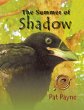 The Summer of Shadow (eBook, ePUB) - Bild 1