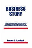 Business Story (eBook, ePUB)