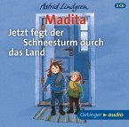 Madita. Jetzt fegt der Schneesturm durch das Land