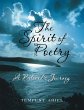 The Spirit of Poetry (eBook, ePUB) - Bild 1