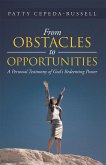 From Obstacles to Opportunities (eBook, ePUB)