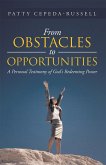 From Obstacles to Opportunities (eBook, ePUB) From Obstacles to Opportunities (eBook, ePUB)