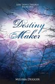 Destiny Maker (eBook, ePUB)