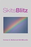 Skitsblitz (eBook, ePUB)