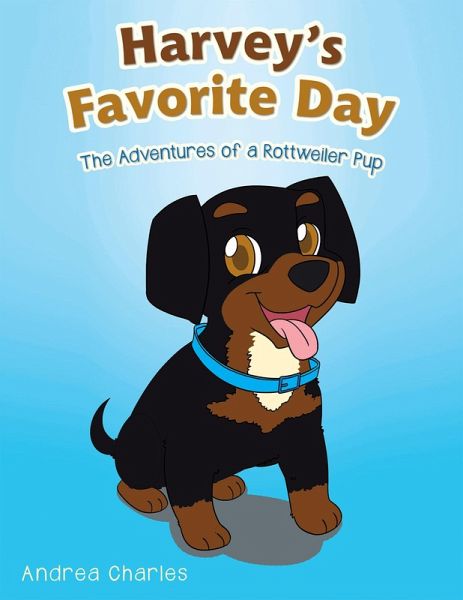 Harvey's Favorite Day (eBook, ePUB)