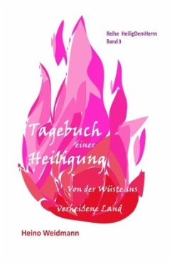 Tagebuch einer Heiligung - Weidmann, Heino