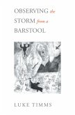 Observing the Storm from a Barstool (eBook, ePUB) Observing the Storm from a Barstool (eBook, ePUB)