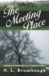 Meeting Place (eBook, ePUB) - Bild 1