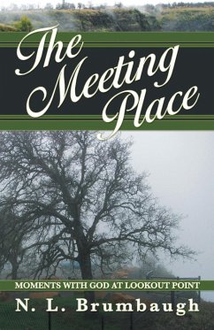 Cover Meeting Place (eBook, ePUB)