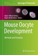 Mouse Oocyte Development - Bild 1