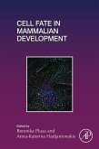 Cell Fate in Mammalian Development (eBook, ePUB)