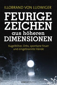 Feurige Zeichen aus höheren Dimensionen (eBook, PDF) - Ludwiger, Illobrand von