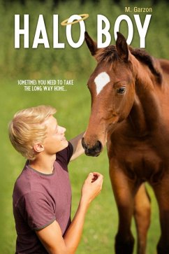 Cover Halo Boy (Blaze of Glory, #4) (eBook, ePUB)