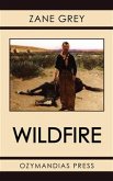Wildfire (eBook, ePUB)