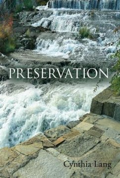 Preservation (eBook, ePUB) - Lang, Cynthia