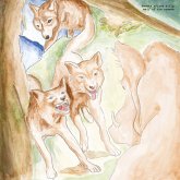 Wolf Of The Cosmos (Lp+Mp3) Wolf Of The Cosmos (Lp+Mp3)