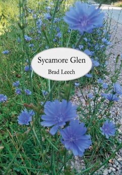 Sycamore Glen - Leech, Brad