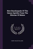 New Brachiopods Of The Genus Spirifer From The Silurian Of Maine