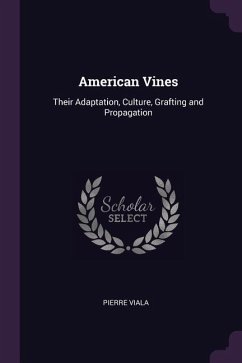 American Vines - Viala, Pierre